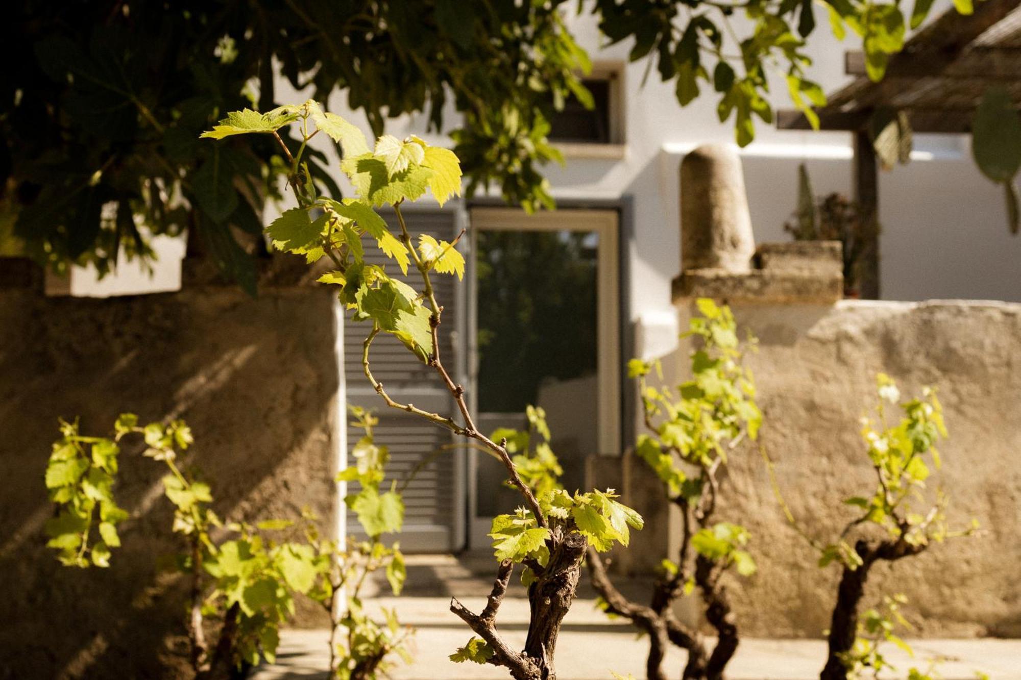 Casale Alle Vigne Nardò Buitenkant foto